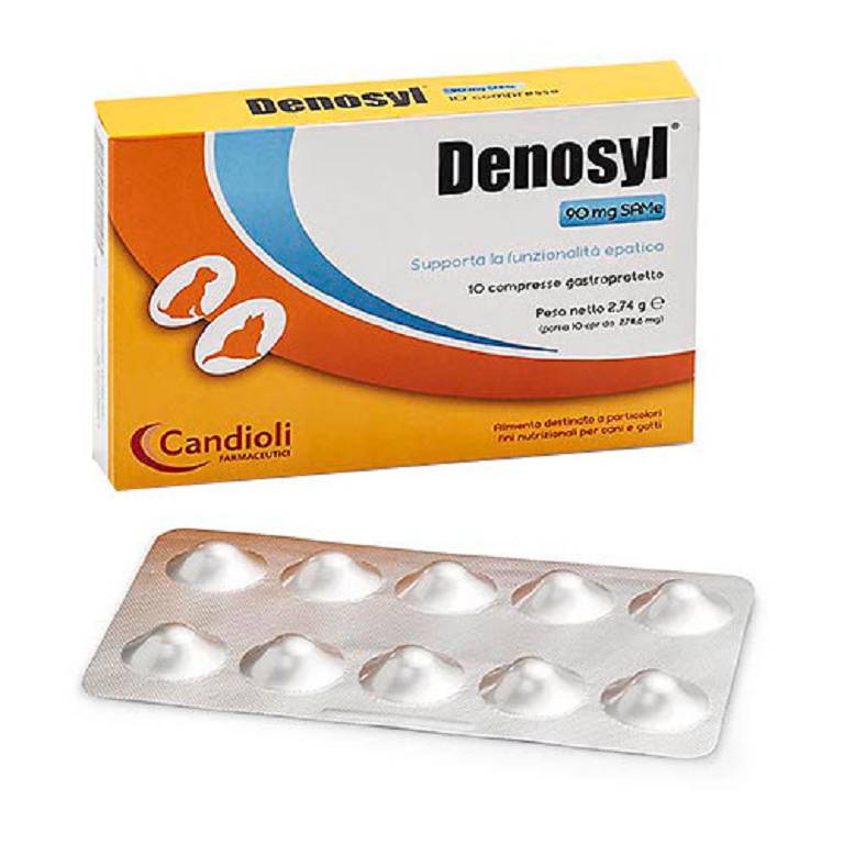 DENOSYL 10CPR 90MG